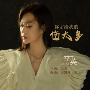 你留给我的伤太多 (DJ默涵版)