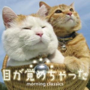 エンターテイナー