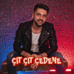 Çıt Çıt Çedene