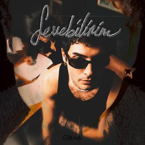 Sevebilirim