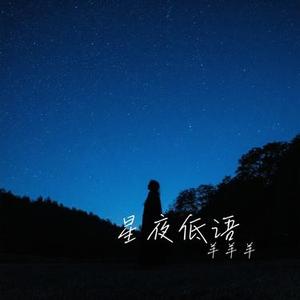 星夜低语
