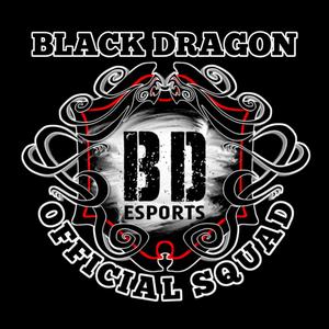 Black Dragon Esports