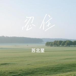 忍住 (Cover 司马缸砸光)