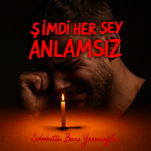 Şi̇mdi̇ Her Şey Anlamsiz