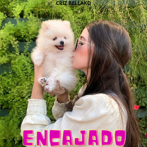 Encajado