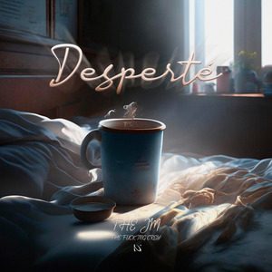 Desperté