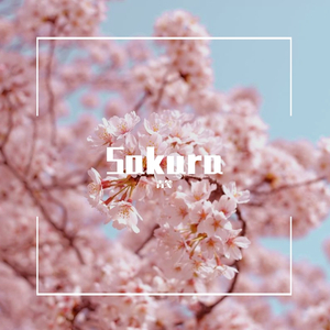Sakura