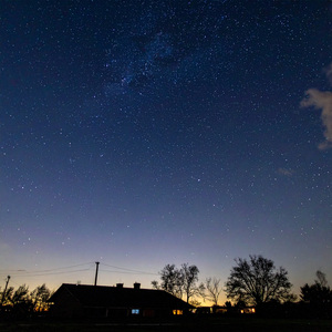 Orquesta Relajante En Noches Suaves