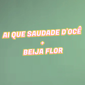 Ai Que Saudade D'ocê / Beija-Flor