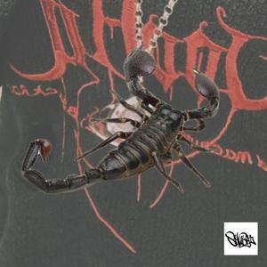 蛇蝎梦境（prod by 海森堡Heisenberg）