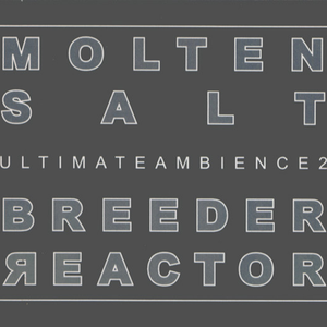 Live In Chicago 1999.02.27 (The Final Harsh Work #16)