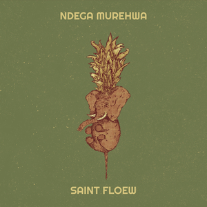 Ndega Murehwa