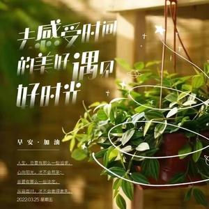 森林之王