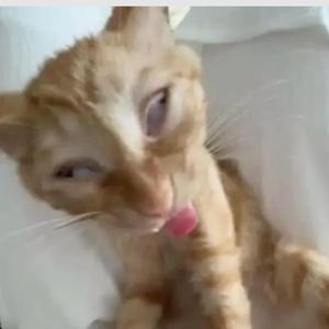 damn right (sped up)