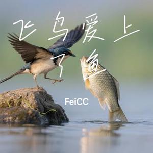 飞鸟爱上了鱼 (Cover 宁小泽)