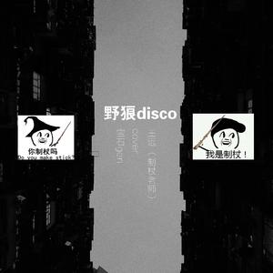野狼disco