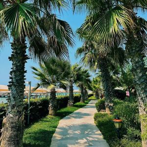 [Pop]"↓↑"Doja Cat X Kpop type beat