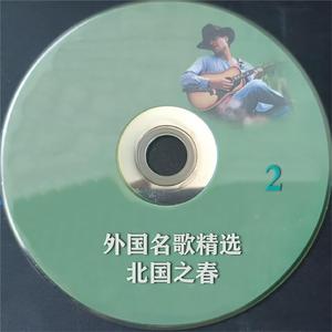 夏天最后一朵玫瑰