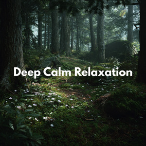 優しいギターでストレス解消 今すぐ眠れる睡眠音楽 1/fゆらぎで睡眠導入