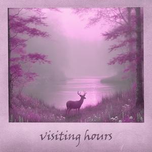 Visiting Hours (Piano Version - Slowed + Reverb)