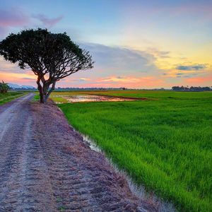 早安隆回抖音版