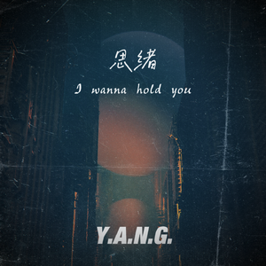 思绪（i wanna hold u）