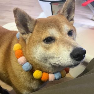 0709939（现场版）