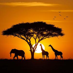 In And Out Of Love (Afro Soul)