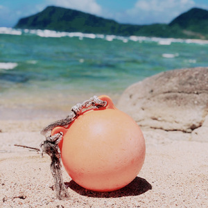 なりゆきまかせ