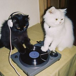 一個人的行李.wav