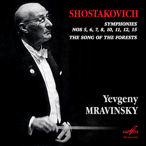 Symphony No. 5 in D Minor, Op. 47: IV. Allegro non troppo