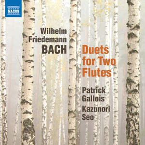 Duet No. 1 for 2 Flutes in E Minor, Fk. 54:I. Allegro
