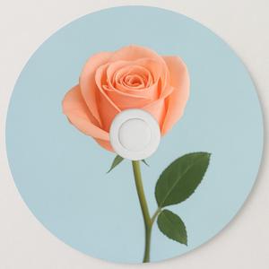 Heaven Knows My Name