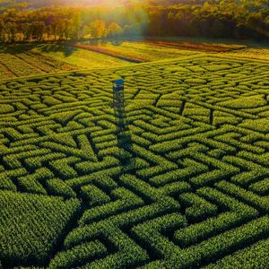 钢琴白噪音里的睡眠序曲