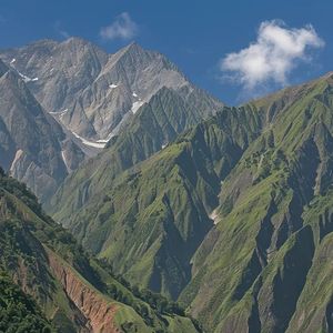 露浸荷尖之空灵雅韵