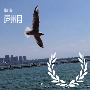 庐州月（女声版）