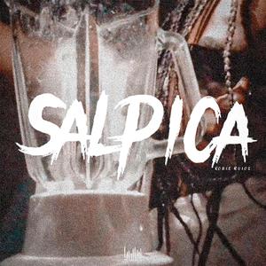 Salpica