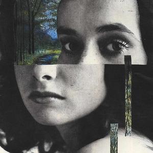 Trees (and the winner is...)