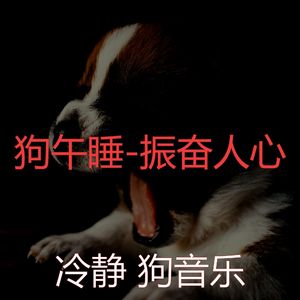 睡觉的小狗-环境