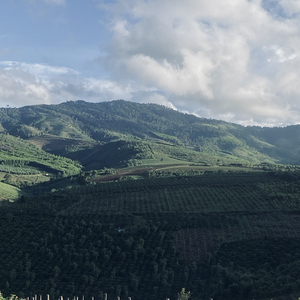 Giấc Mơ Đơn Sơ