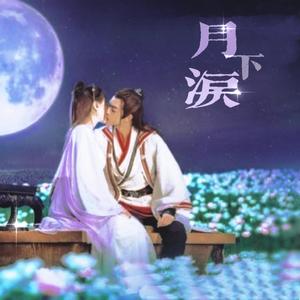 月下泪（翻自 从前有座剑灵山）