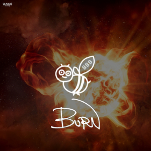 Burn