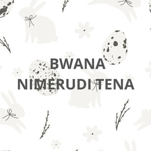 BWANA NIMERUDI TENA