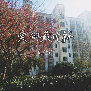 爱的最优解（Instruments）