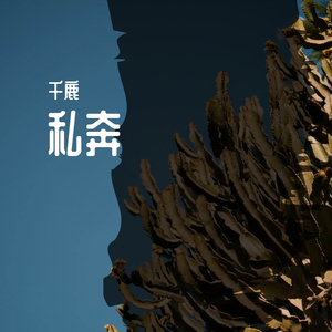 安和桥（翻唱：宋冬野）