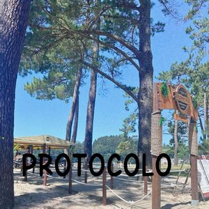 Protocolo