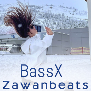 BassX