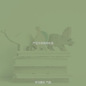 柔和的正在读书时刻