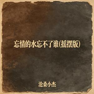 忘情的水忘不了谁(摇摆版)
