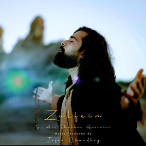 Zulfein